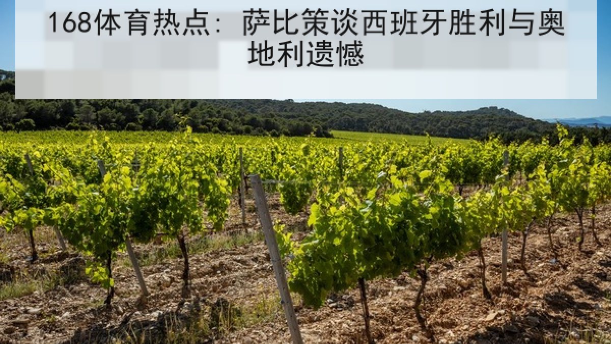 168体育热点: 萨比策谈西班牙胜利与奥地利遗憾