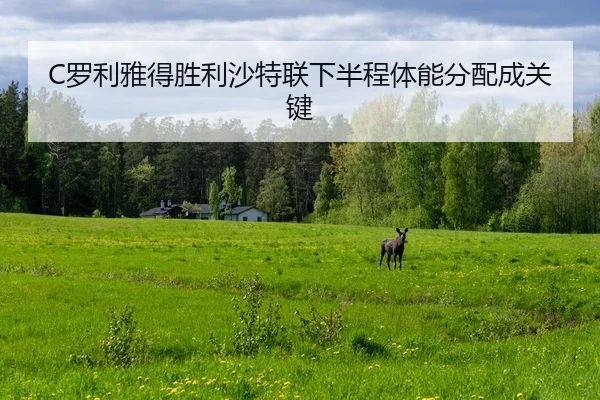 C罗利雅得胜利沙特联下半程体能分配成关键