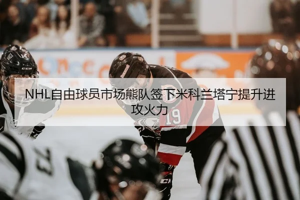 NHL自由球员市场熊队签下米科兰塔宁提升进攻火力